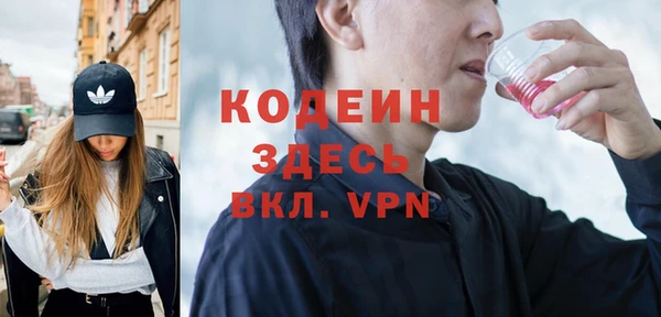 шишки Приозерск