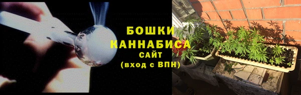 шишки Приозерск