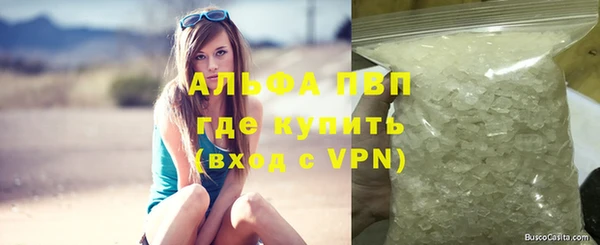 шишки Приозерск