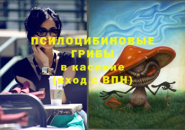 шишки Приозерск