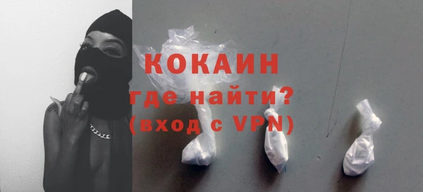 шишки Приозерск