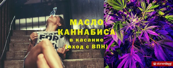 шишки Приозерск