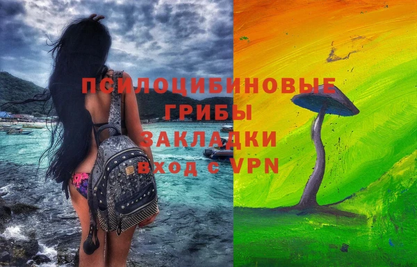 шишки Приозерск