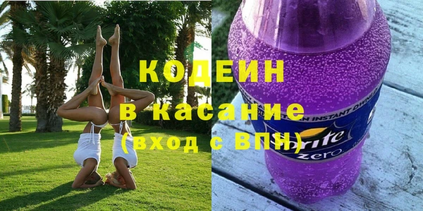 шишки Приозерск