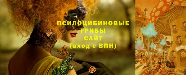 таблы Протвино
