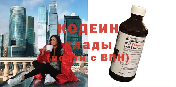 шишки Приозерск