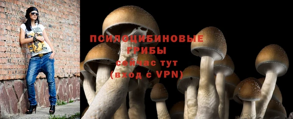 таблы Протвино
